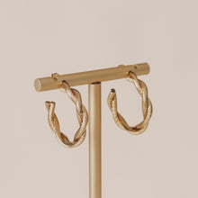 Load image into Gallery viewer, GOLD TINA HOOP EARRINGS | 18K GOLD PLATED
